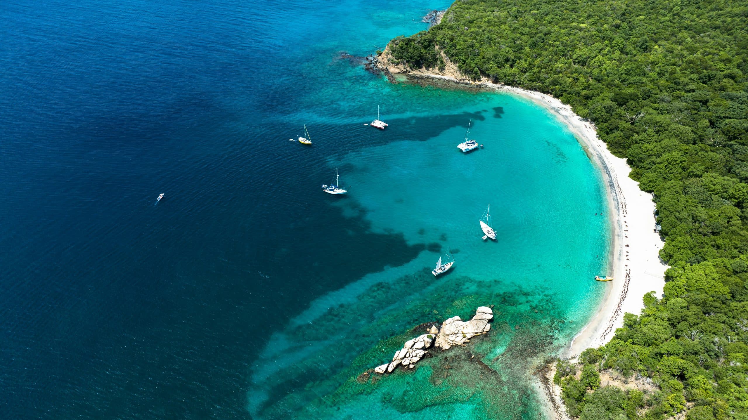 Discover Grenada’s Underwater Wonders: The Ultimate Guide to Snorkeling