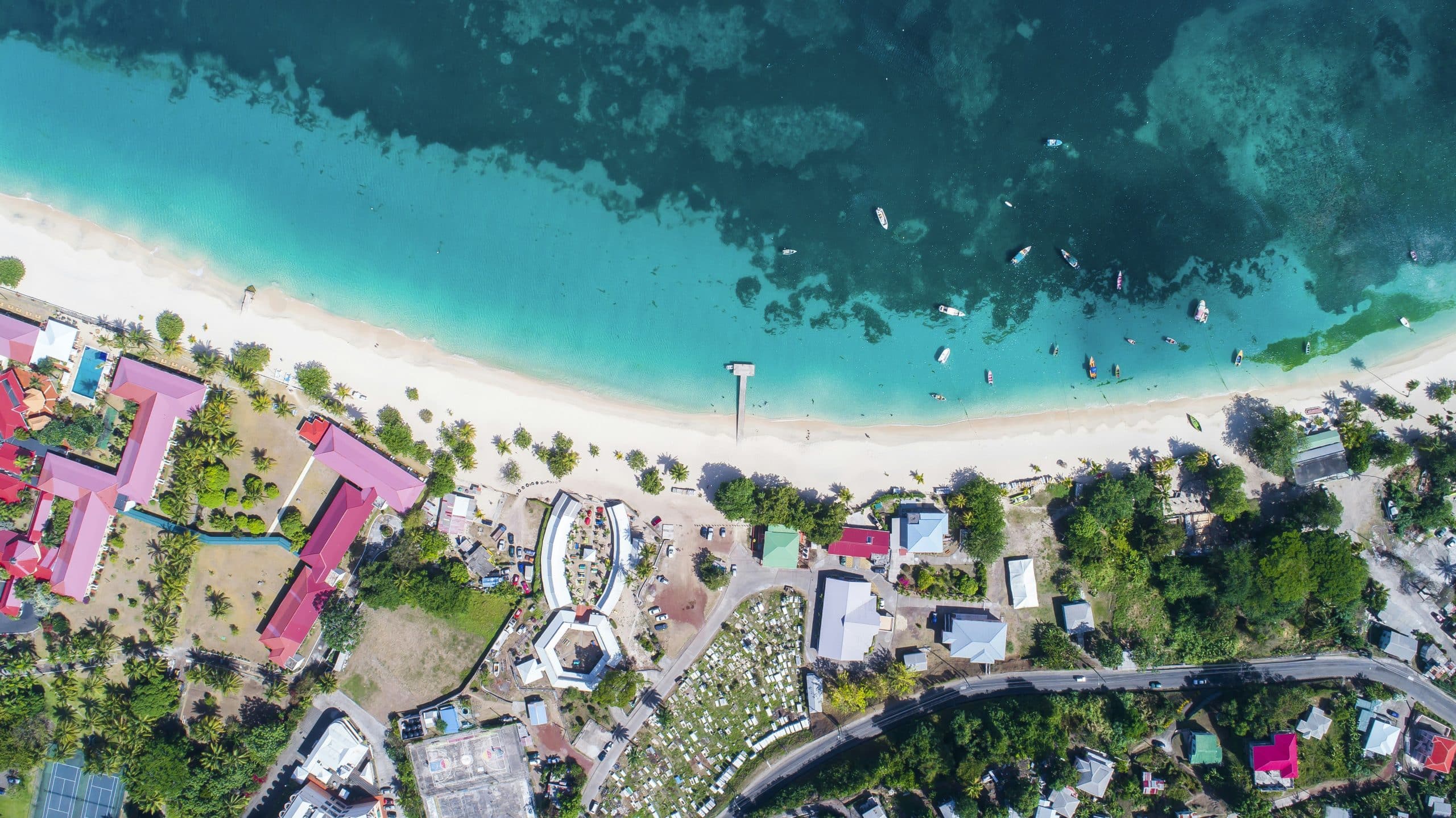 Discover Grenada’s Underwater Wonders: The Ultimate Guide to Snorkeling