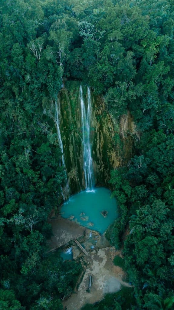 selective focus photography of waterfalls during daytime