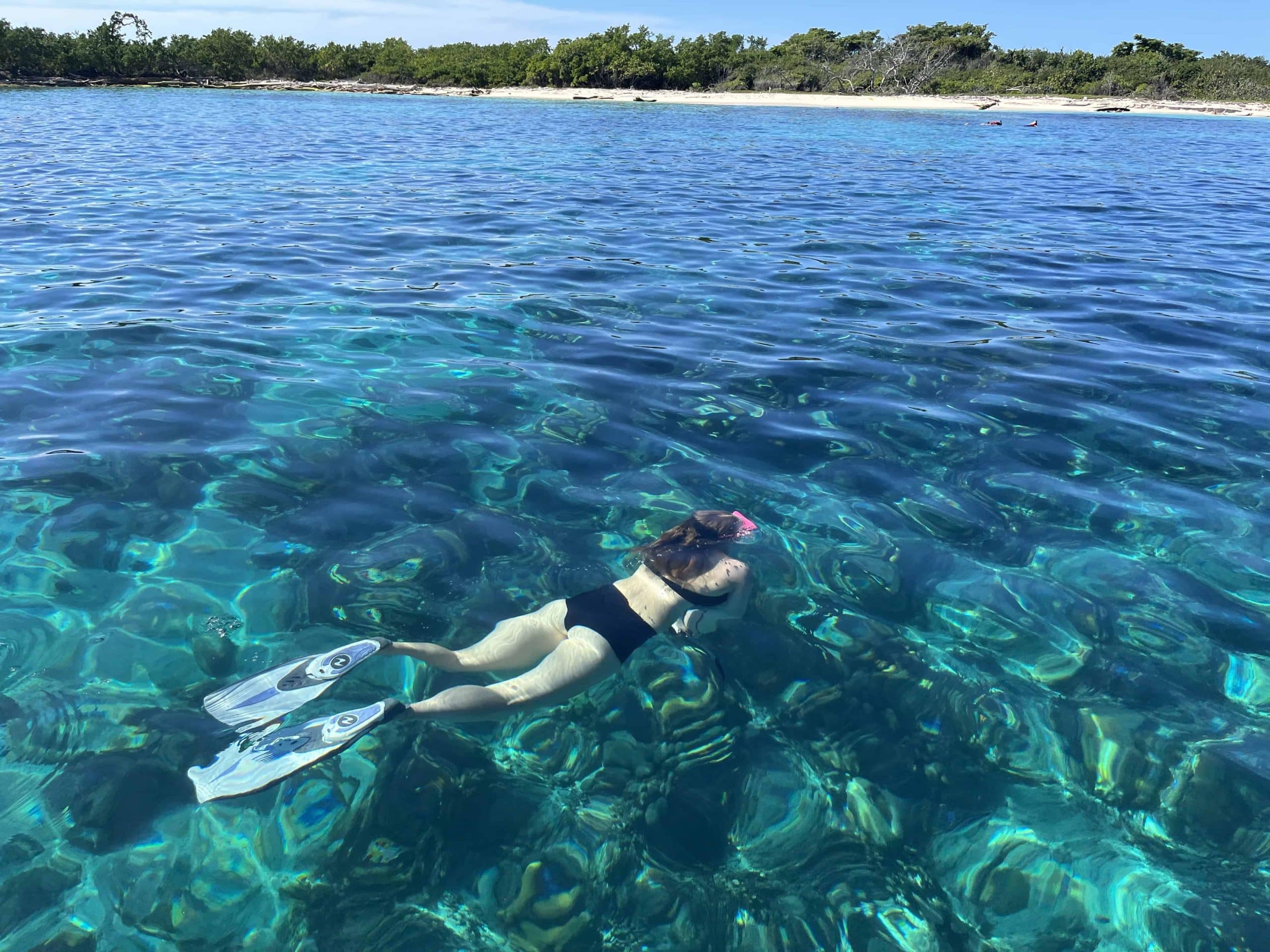 The Ultimate Guide to Snorkeling in the Dominican Republic