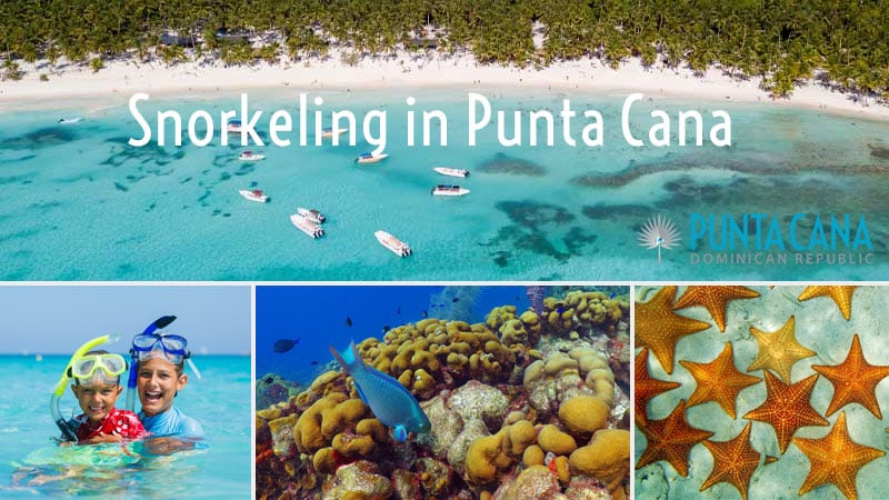 The Ultimate Guide to Snorkeling in the Dominican Republic