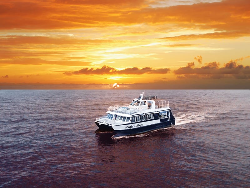 Unforgettable Sunset Cruise on Maui