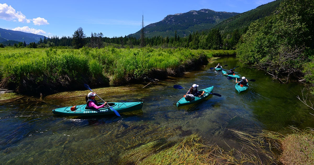 Exploring the Majestic Lakes of Whistler on a Kayak